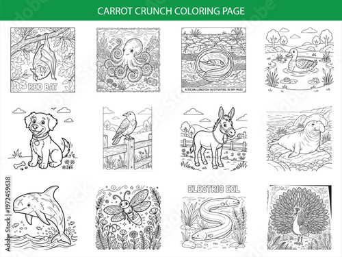 Carrot crunch coloring page featuring bat octopus lungfish and dog illustrations for children creative coloring book