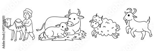 various livestock for sacrifice including big camel strong bull sheep and goat