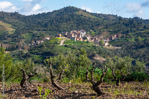 The Priorat region, known for its vineyards and medieval villages, is located in the province of Tarragona, Catalonia, Spain