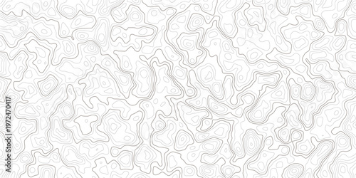 Gray topographic contour map lines on white background  abstract geographic illustration
