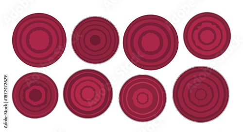 Set of Fresh Beetroot Slices Isolated on White Background