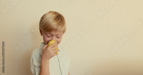 A close-up of a fair-haired boy playfully examining a yellow pear in his hands, smelling it and trying to take a bite. Children and healthy eating
