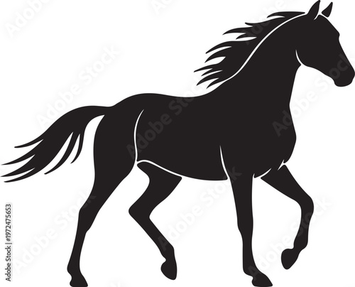 Obraz na plátně Akhal-Teke horse in silhouette on white background..