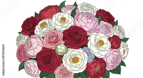 Vibrant round bouquet composed of red pink and white roses and camellias with green leaves on a white background.