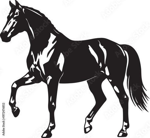 Foto American Saddlebred in silhouette on white background۔