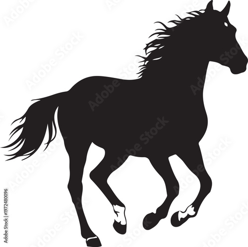 Photography Criollo horse in silhouette on white background.