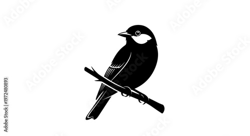 A black bird sitting on branch.