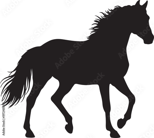 Obraz na płótnie Dutch Warmblood in silhouette on white background