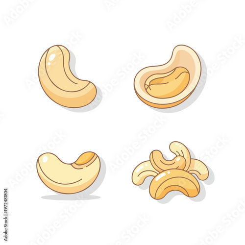 Cashews nuts in different views.