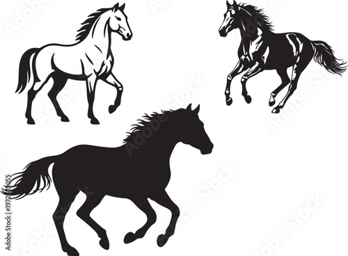 Tableau sur toile Morgan Horse  in silhouette on white background.