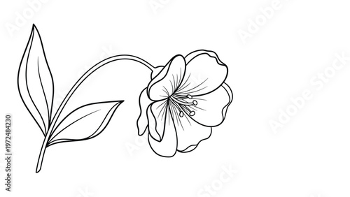 Simple black and white outline illustration of a single graceful flower with a stem and two delicate leaves, suitable as a relaxing coloring page.