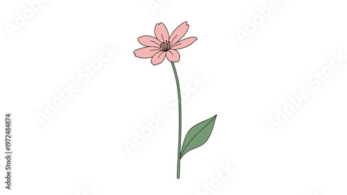 Konstfotografi Graceful and minimalist illustration of a single delicate pink flower with a slender green stem and a leaf, on a white background
