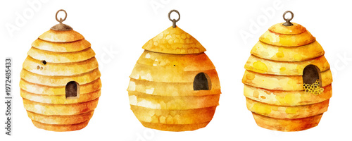 Set of watercolor wild bee hives. Cartoon illustrations of honey bee house. Forest honey bee hive. Cute cartoon elements of beekeeping and honey.