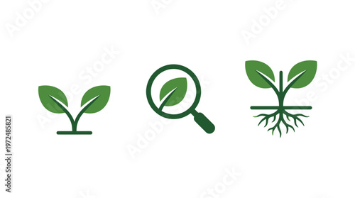 Plant Growth Icons: Seedling, Magnifying Glass, and Root System