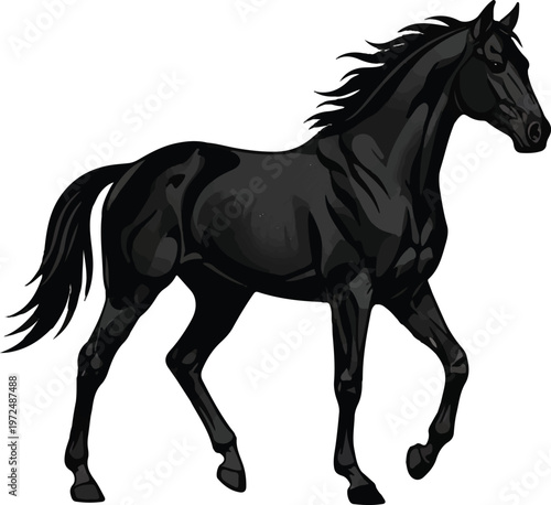 Thoroughbred horse in silhouette on white background