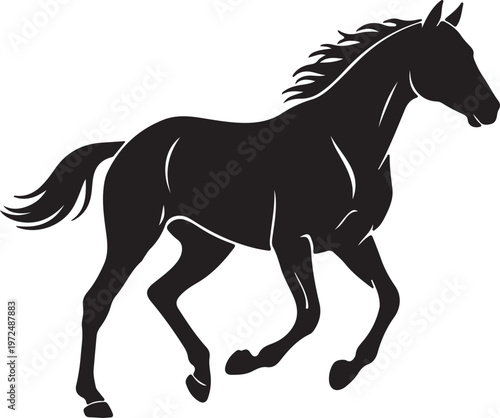 Thoroughbred horse in silhouette on white background.