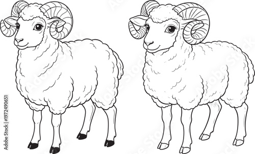 Two hand-drawn rams with large curved horns with black and white with spirit animal with mountain sheep