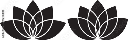 Two abstract lotus flowers with black and white with white background