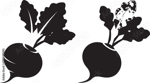 Two stylized radishes with leaves side by side with root vegetable with black and white with green leaves with food ingredient