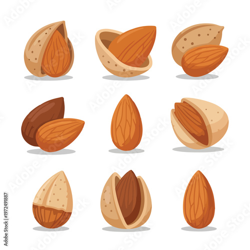 Collection of Almonds in Various Stages of Shelling and Whole.