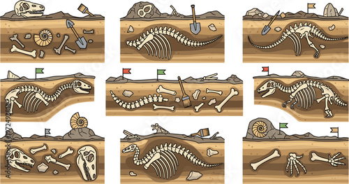 Dinosaur Fossil Excavation Process Vector Set featuring Skeleton Discovery, Digging Tools, Flags, and Fossils for Educational and Science Designs