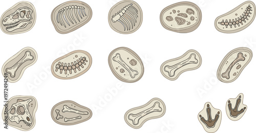 Fossil and Dinosaur Bone Collection with Skull Skeleton Footprints and Prehistoric Rock Imprints Archaeology Flat Vector Illustration Set