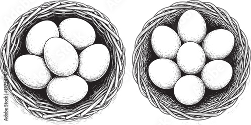 Two nests with eggs with black and white with line art with hand drawn