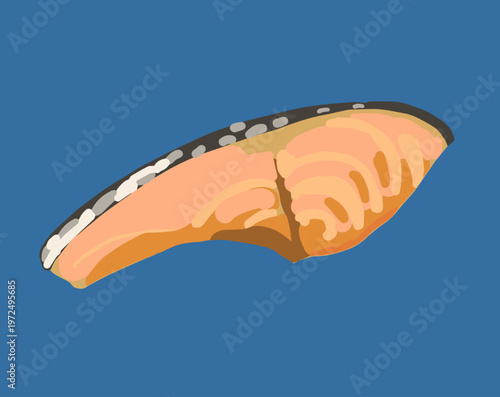 焼き鮭のイラスト/Vector illustration of grilled salmon