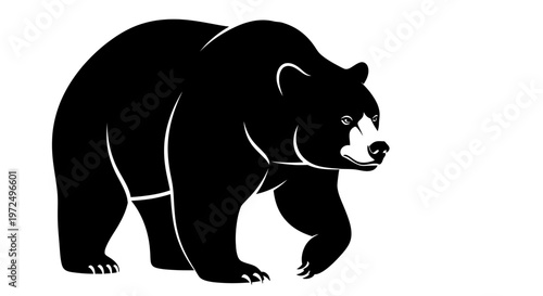 A black bear walks forward steadily.