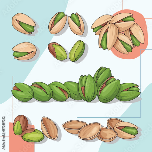 Collection of hand drawn organic pistachio nuts in various positions and compositions.