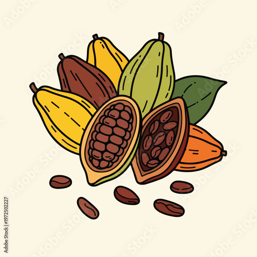 Colorful illustration of cocoa pods and cacao beans.