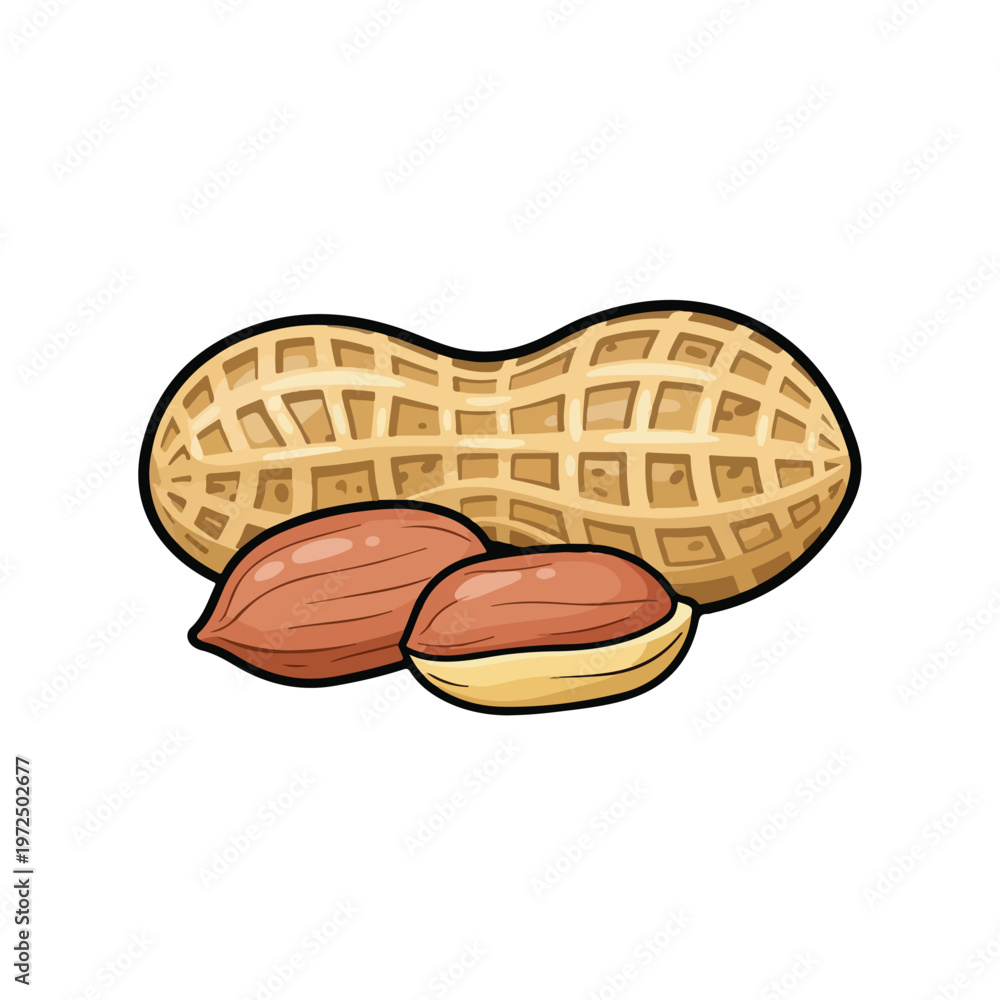 Obraz premium Cartoon illustration of a whole peanut and two shelled peanut kernels.