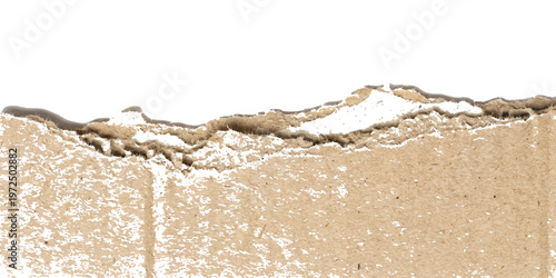 Torn piece of brown corrugated cardboard with rough fibrous edges isolated on a white background showing internal paper layers and texture