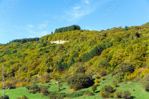 A hill covered with bushes and trees in autumn colors. Coniferous trees grow at the top. A blue sky with clouds.