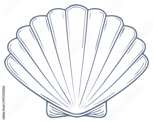 Minimalist scallop shell line art vector graphic isolated