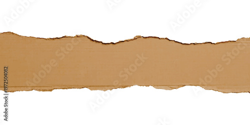 Horizontal strip of brown corrugated cardboard with rough torn edges isolated on a white background showing fibrous texture and layered paper construction