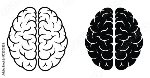 Two stylized brains, one outlined in black and white, the other solid black