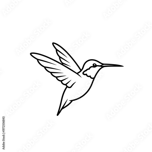Simple flying hummingbird line art illustration