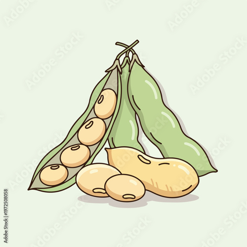 Hand drawn illustration of soybean pods and seeds.