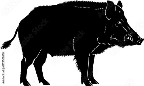 Wild boar pig animal silhouette hunting nature