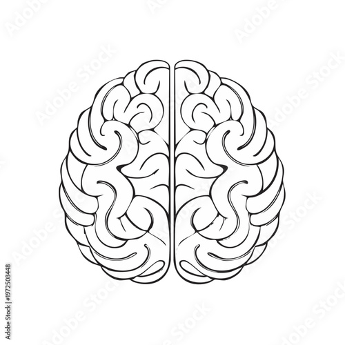 Stylized black and white illustration of a human brain seen from above, showing intricate folds and divisions