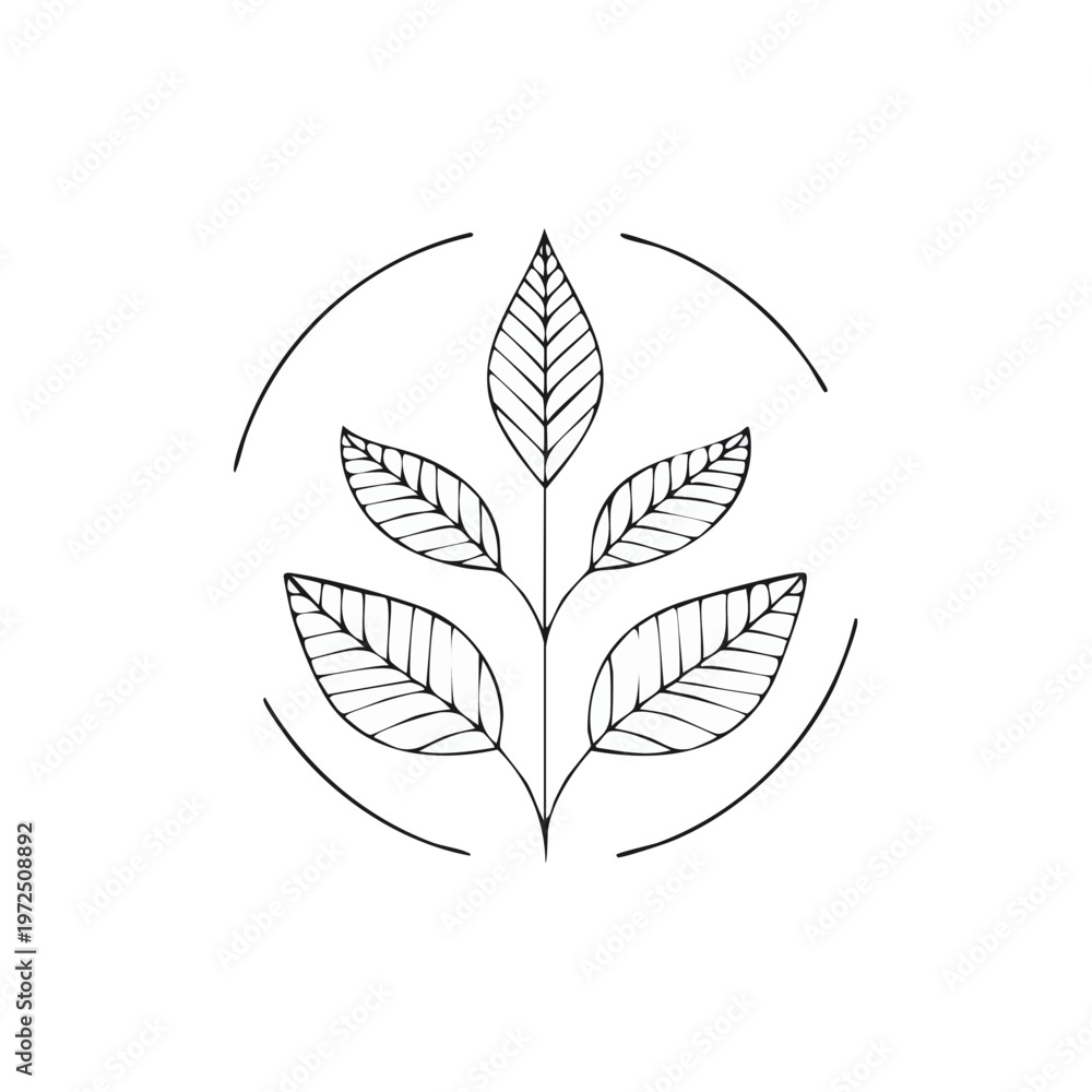 Fototapeta premium Minimalist black and white line art botanical emblem with delicate leaves and a circular frame