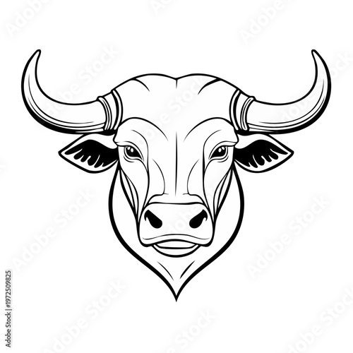 Bold Black and White Bull Head Portrait With Majestic Curved Horns