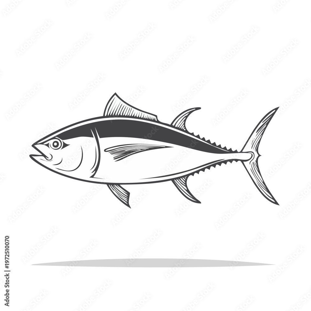 Obraz premium Stylized Tuna Fish Illustration Drawing Monochrome