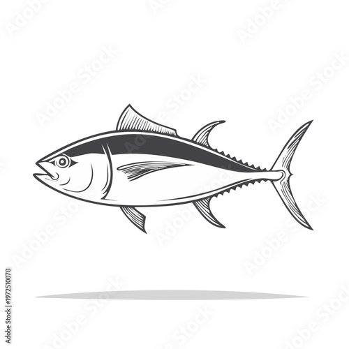 Stylized Tuna Fish Illustration Drawing Monochrome