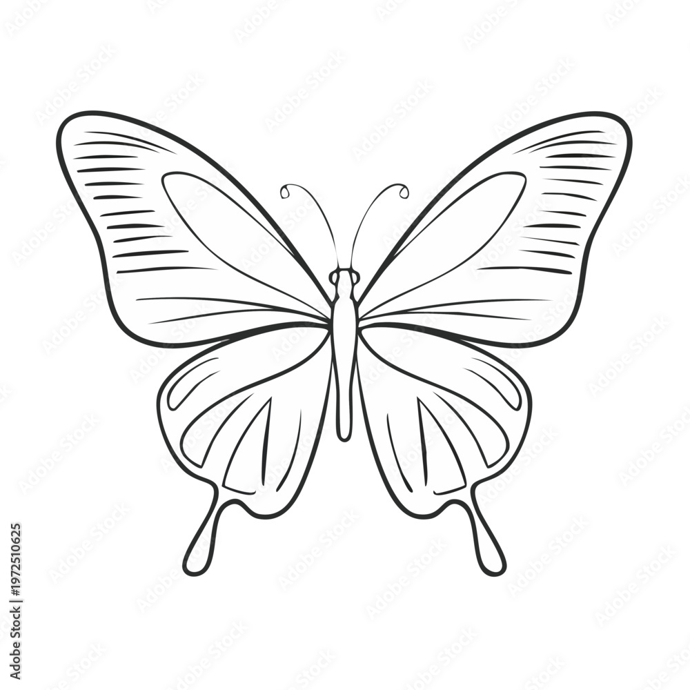 Fototapeta premium Elegant outline drawing of a monarch butterfly in flight spread wings symmetrical vector
