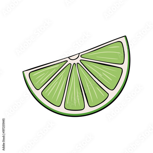 Juicy bright green lime slice with segmented flesh and white pith isolated on white background illustration