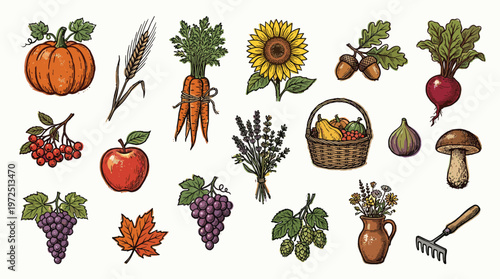 Autumn harvest assortment of fresh fruits vegetables and flowers in a rustic illustration style for seasonal decoration and design