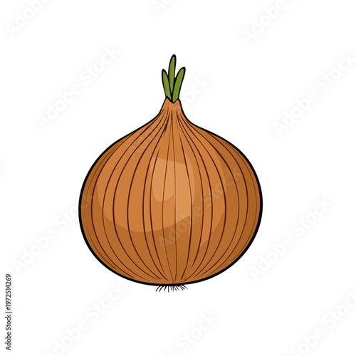 Single brown onion with green sprout illustration healthy food ingredient