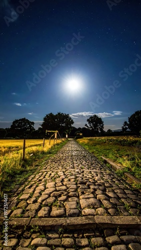 Cobblestone Path Under Bright Moonlight in Serene Night Landscape